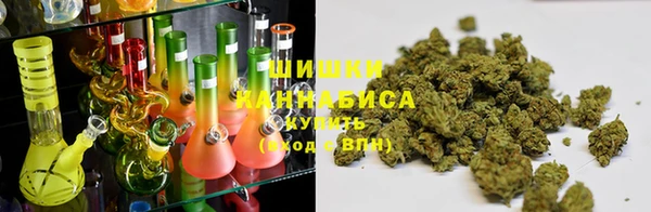 ПСИЛОЦИБИНОВЫЕ ГРИБЫ Арсеньев