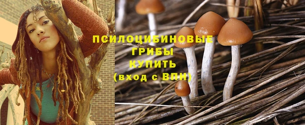 ECSTASY Аркадак