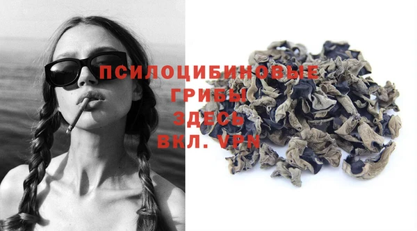 ПСИЛОЦИБИНОВЫЕ ГРИБЫ Арсеньев