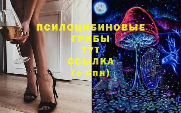 хмурый Армянск