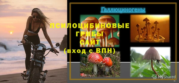 ECSTASY Аркадак
